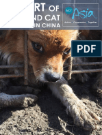 Report of Dog and Cat Fur Trade in China PDF