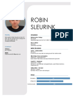 CV Robin Sleurink