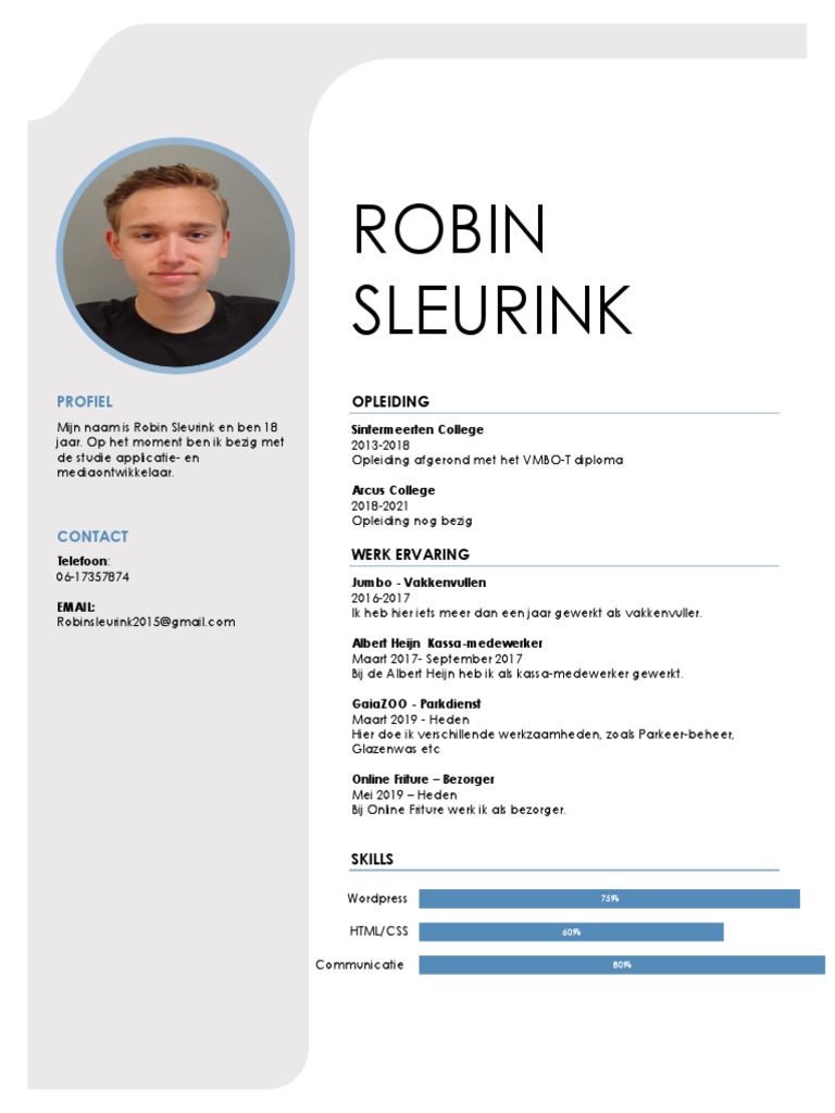 CV Robin Sleurink | PDF