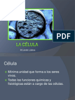 1 Celula-membrana Plasmática