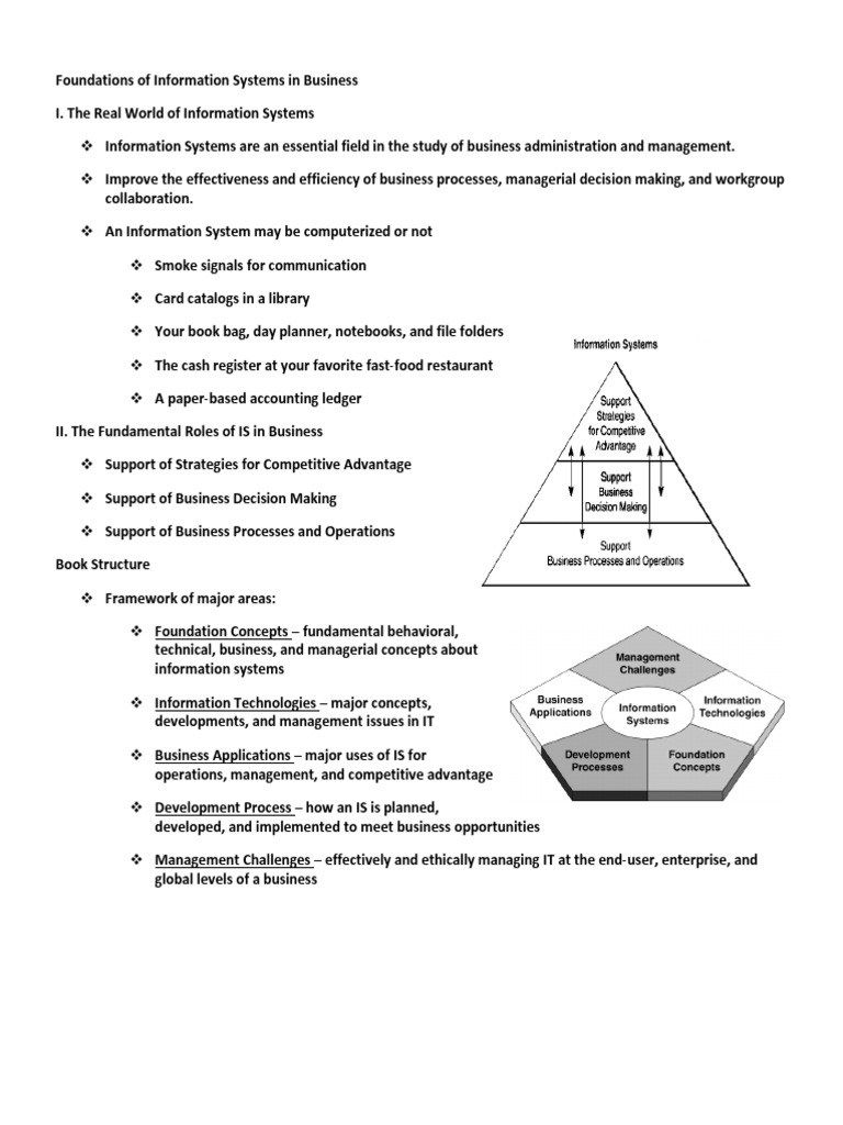 Foundations of Information Systems in Business | PDF | Information ...