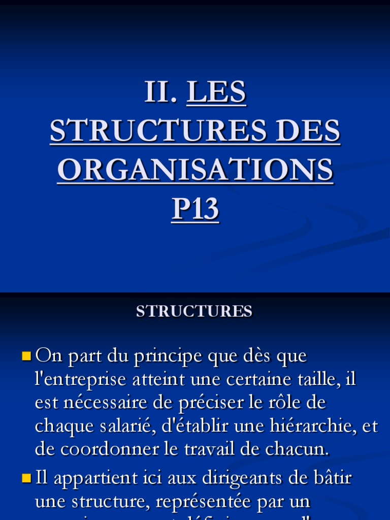 Types de structures organisationnelles | PDF | Informatique | Logiciel