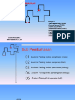 Anfisman II KLP 5 Panca Indra