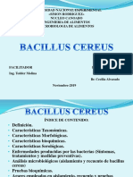 Bacillus Cereus Karina y Cecilia