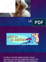 La Saliva