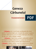 Geneza Carbunelui