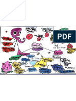 ADE PUTRI RAISAH NAZARA TUGAS MIND MAP ANATOMI