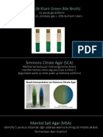 growth media of microorganism.pptx