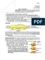 Biochemistry Exam 4 Study Guide