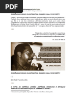 Dossiê Amos Wilson.. um intelectual 'modelo' para o Povo Preto.pdf