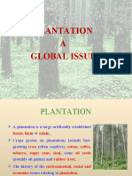 Why We Go For Plantation