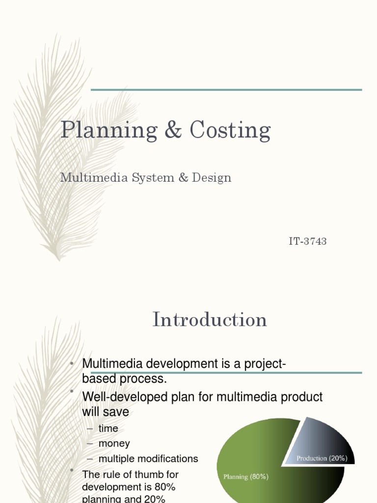 Multimedia Project Planning & Costing | PDF | World Wide Web | Internet ...