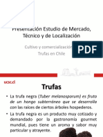 Estudio de Mercado y Localización para el Cultivo de Trufas en Chile