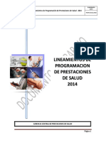LINEAMIENTOS_2014.pdf