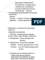 Metabolisme KH