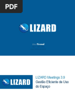 LIZARD Meetings 3.9_v3