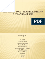 PPT REPLIKASI DNA,  TRANSKRIPSI DNA & TRANSLASI RNA.pptx