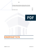 8 Energetics Notes PDF
