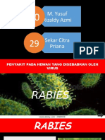 Virus Rabies