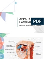 Apparatus Lacrimalis