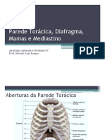 AULA-04.-Parede-Torácica-Diafragma-Mamas-e-Mediastino.pdf
