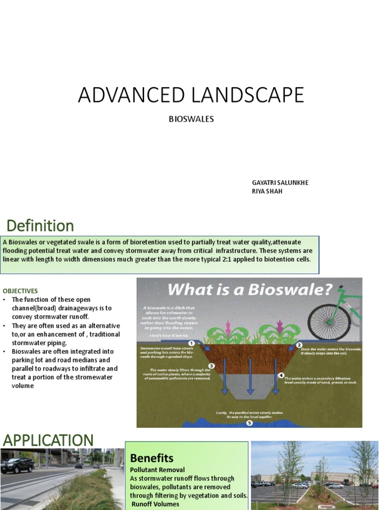 When \u0026 Where To Install Bioswales, image size:768x1024