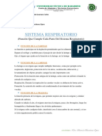 Funciones Del Sistema Respiratorio 