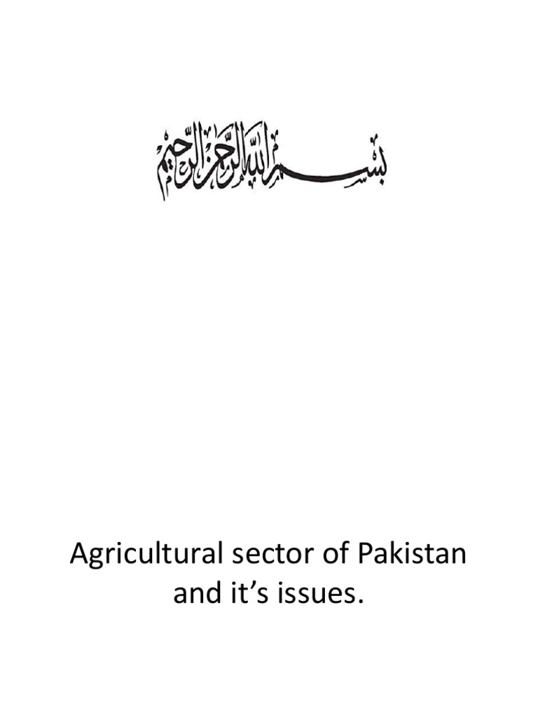 Agriculture Sector of Pakistan | PDF | Pakistan | Rice