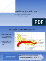 Bloqueo Interescalénico