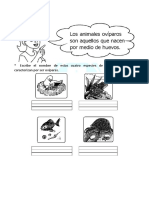 Animales Oviparos para Primaria