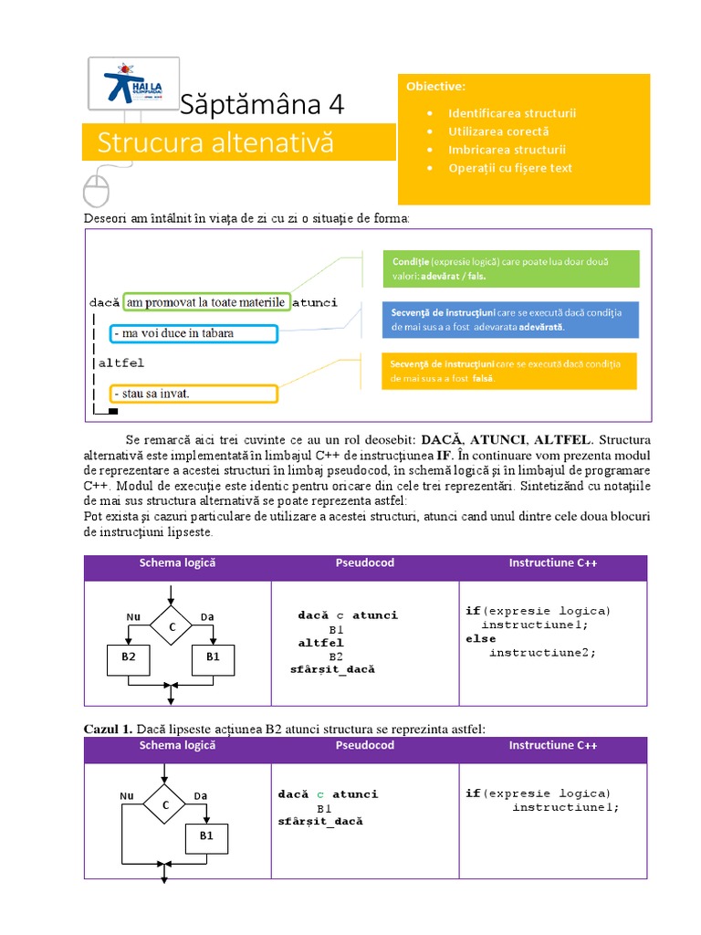 Structuri Alternative in C++ | PDF