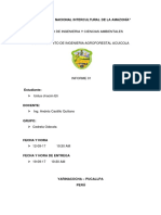 INFORME 01