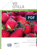 frutilla chile.pdf