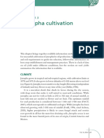 Jatropha Cultivation PDF