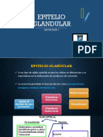 Tejido glandular epitelial