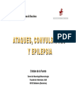 PM II Ataques Convulsiones y Epilepsia