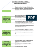 Esquema Jurisdicción Social