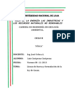 Lineas de fueza.docx