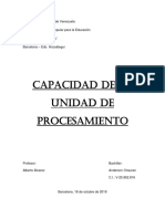 Capacidad de La Unidad de Procesamiento