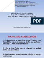 Final Endocrinología, Hipotálamo, Hipófisis, Gonada