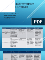 Musculos Posteriores Del Tronco Parra Lista