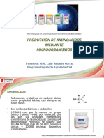 Clase Producción Aminoacidos PDF