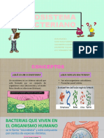 Ecosistema Bacteriano