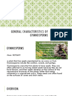 General Characteristics of Gymnosperms