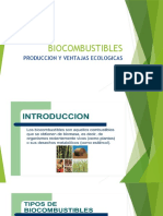 BIOCOMBUSTIBLES