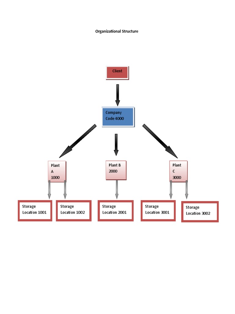 Organizational Structure Overview | PDF