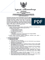 pengumuman cpns 2019 sumedang.pdf