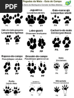 Guia de Pegadas