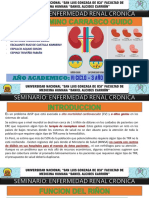 Enfermedad Renal Cronica