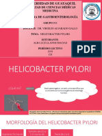 Helicobacter Pylori  